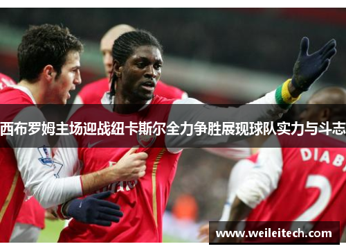 西布罗姆主场迎战纽卡斯尔全力争胜展现球队实力与斗志