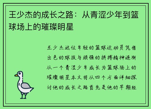 王少杰的成长之路：从青涩少年到篮球场上的璀璨明星